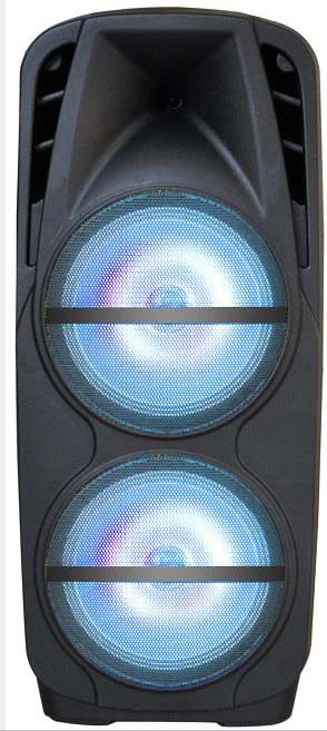 2X12″ Bluetooth Professional Speaker System F-106D