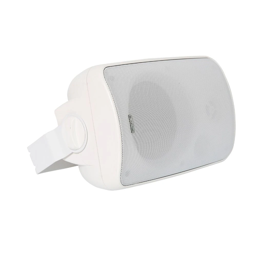 30/40/60 Watt at 8 Ohm Passive ABS Plastic Wall Mounted Speaker for PA System and Bgm Background Music with Transformer