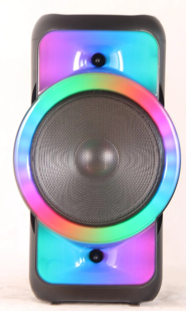30W 12inch RGB Light Portable Trolley Speaker Wireless Bluetooth Party Speaker Audio