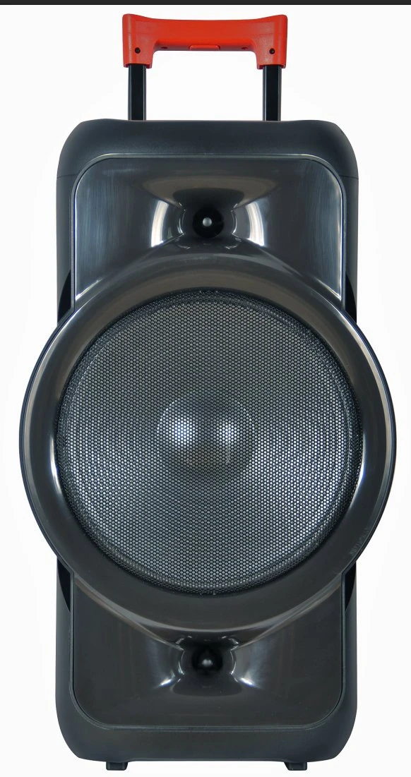 30W 12inch RGB Portable Party Wireless Bluetooth Party Speaker Audio