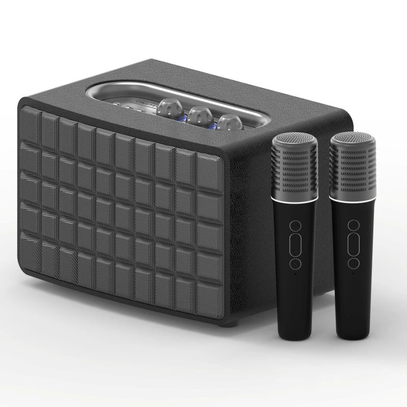 40W 3600mahdual-Mic Bluetooth Speaker K6