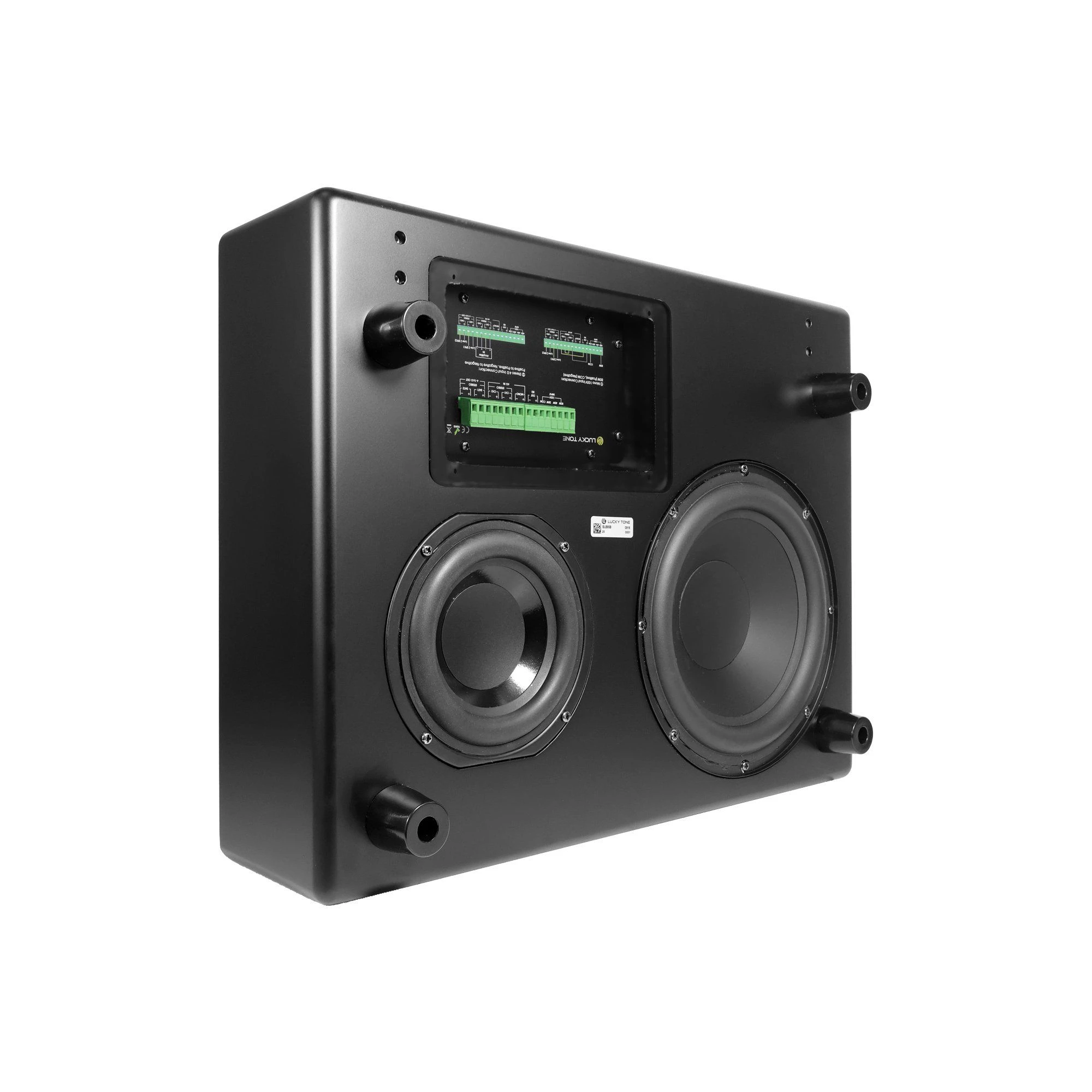 5.25 8 Inch Passive Subwoofer with 100V 70V Line Transformer & Low Impedance