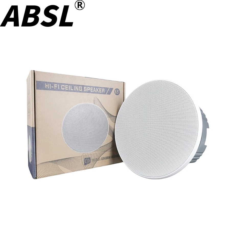 5.5”/6.5” Coaxial ABS PA Ceiling Mount Speaker with Magnetic Cover for Oman