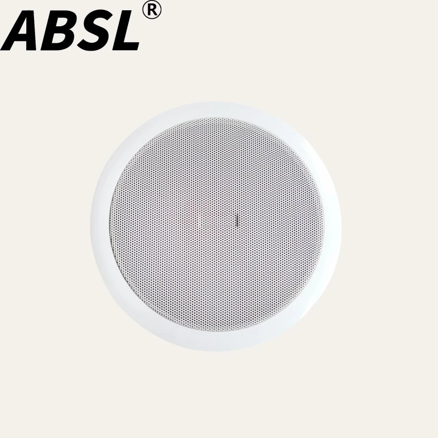 5W/10W Sound Speaker 5” PA Ceiling Mount Speaker with Cheap Price