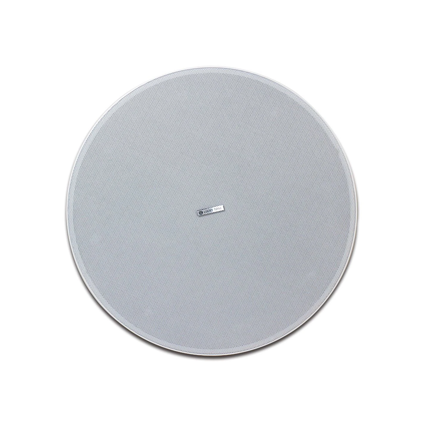 6.5 Inch 50W 8ohm Wonderful Sound Speaker Professional 2-Way Ceiling Speaker with 2 Tweeter