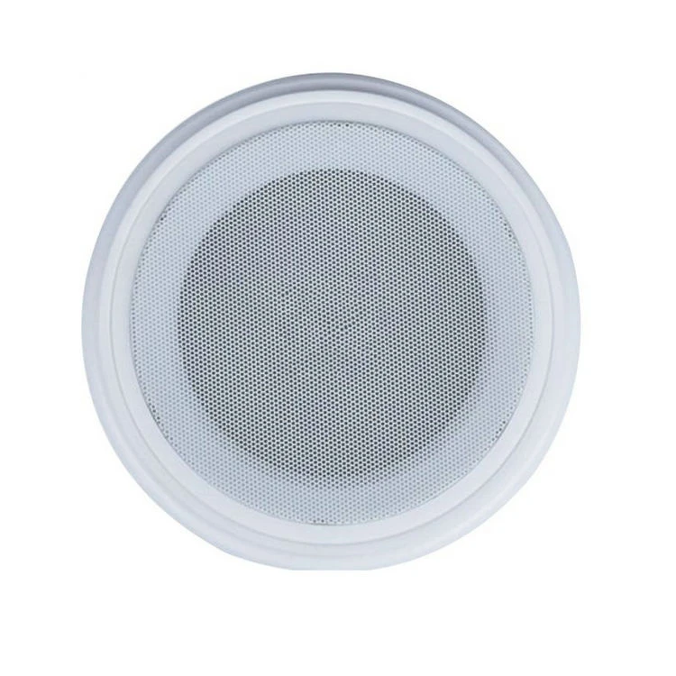 6″ Ceiling Speaker with Plastic Back Can