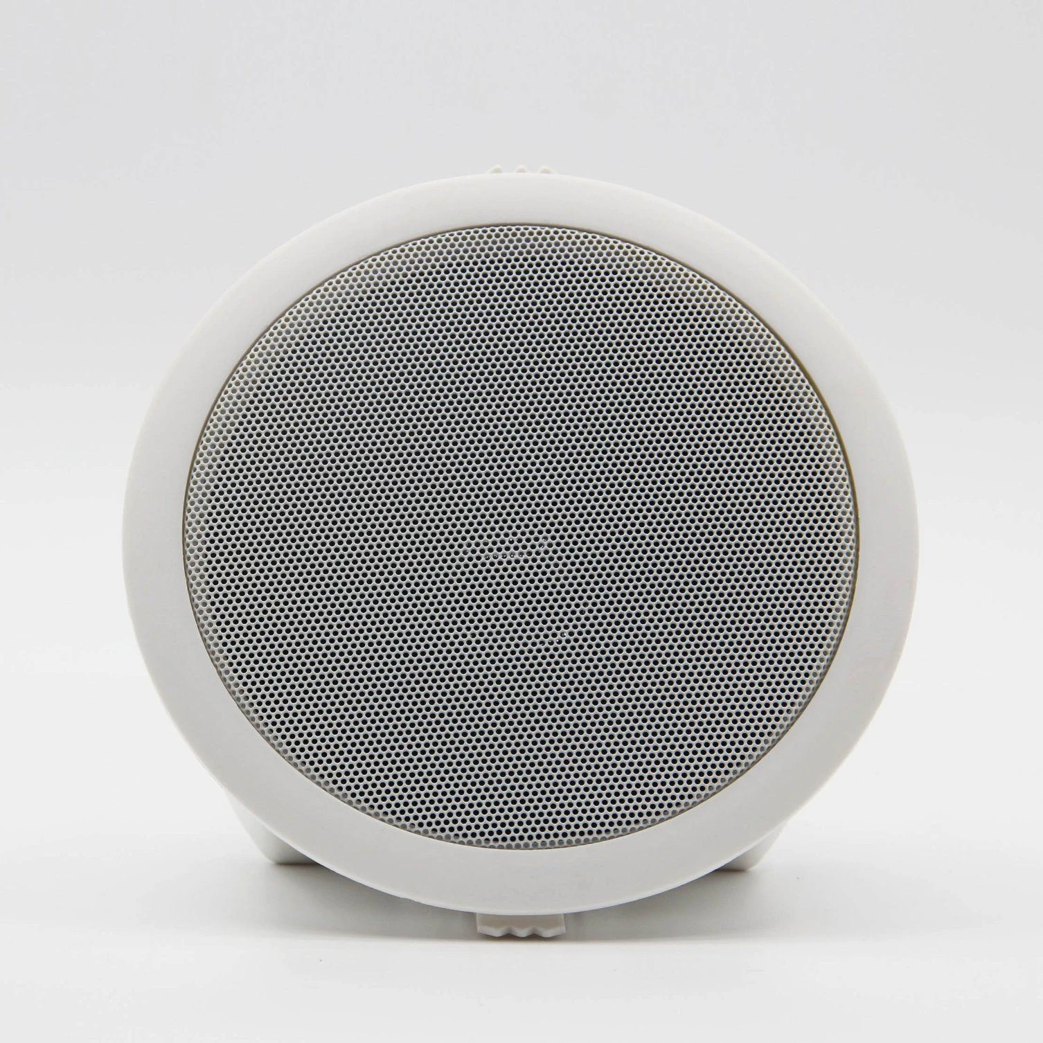 6 Inch Audio Ceiling Spekaer with Lampshade