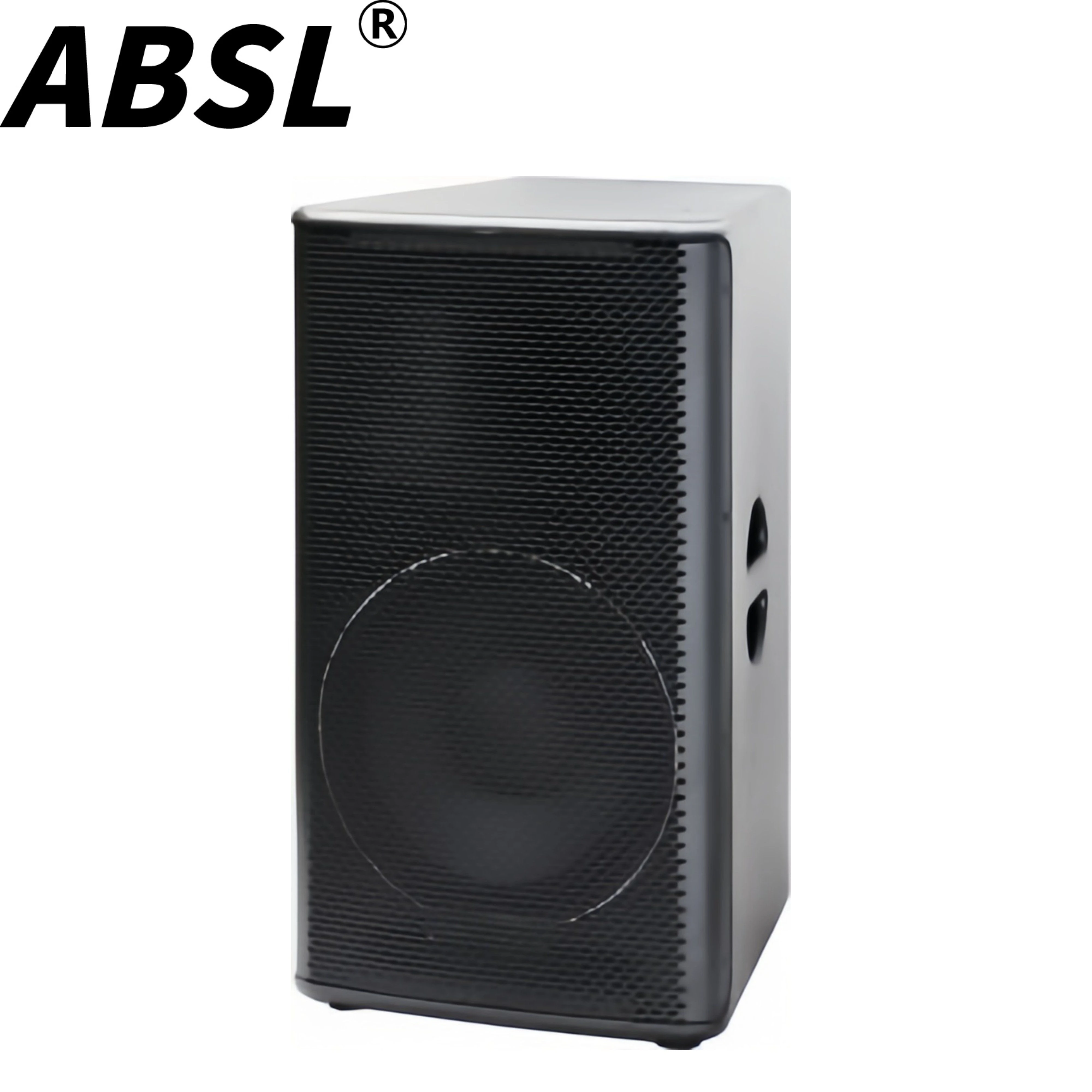 8”/10”/12”/15” 2-Way 300W RMS Power Professional Audio Sound Speaker with Ti35