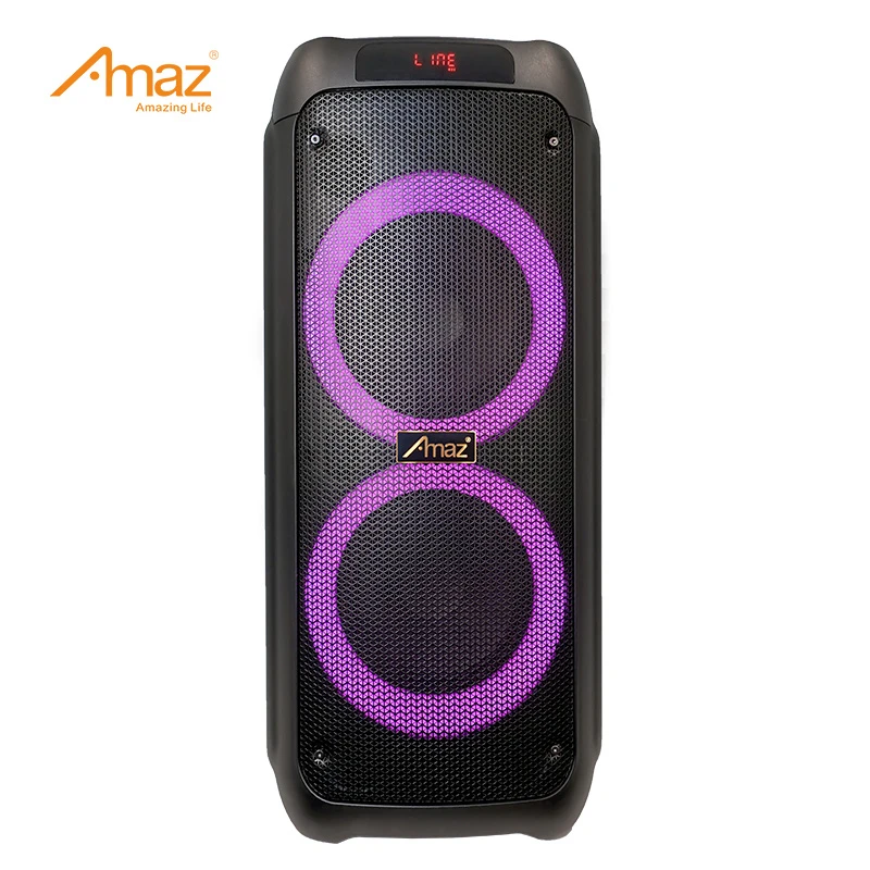 8 Inch Audio Trolley Speaker Sound System and Wireless Professional Speaker