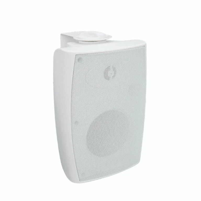 8 Inch HiFi Wall Mounted Speaker for Conference Room Sound