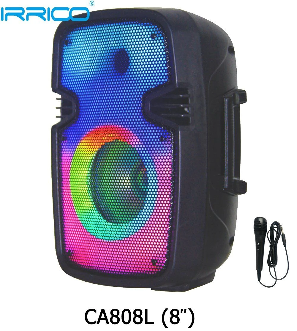 8inch Powered Portable Bluetooth Speaker with Flame Lights and Rechargeable Battery