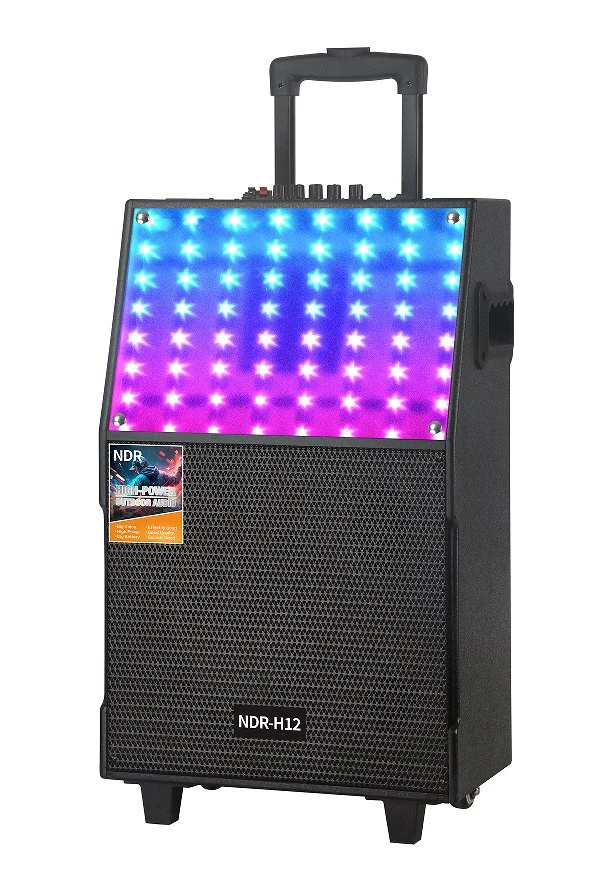 8inch Wooden Professional Active Speaker Bluetooth Battery Trolley Speaker