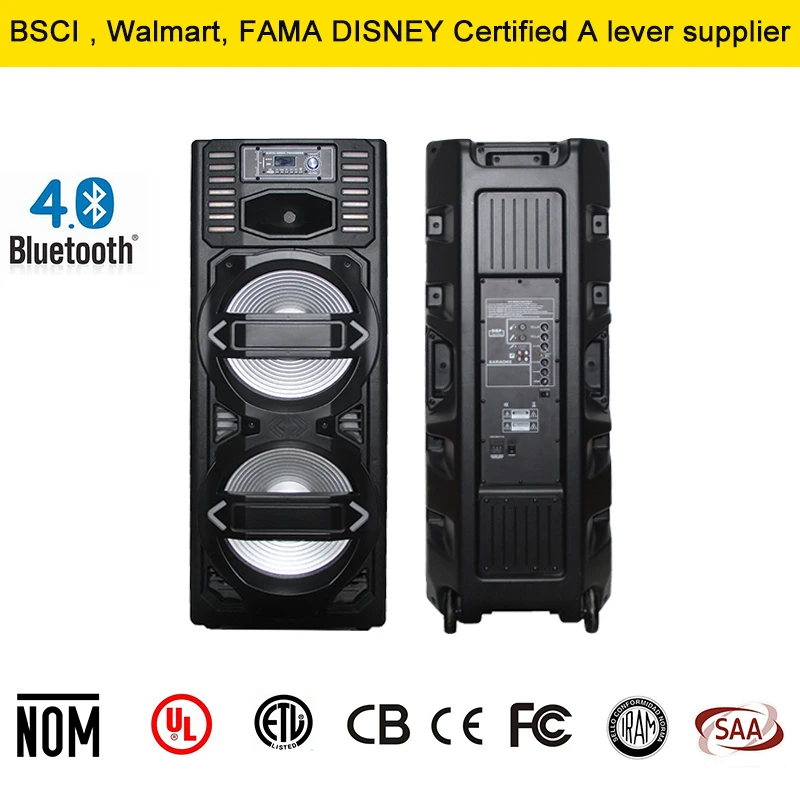 91-100dB Dual 15inch Active Multimedia Speaker