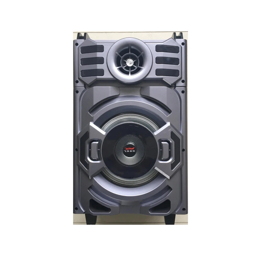 A10-11 80W Temeisheng10inch Wireless PA Active Trolley Portable Rechargeable Speaker with Bt for Karaoke