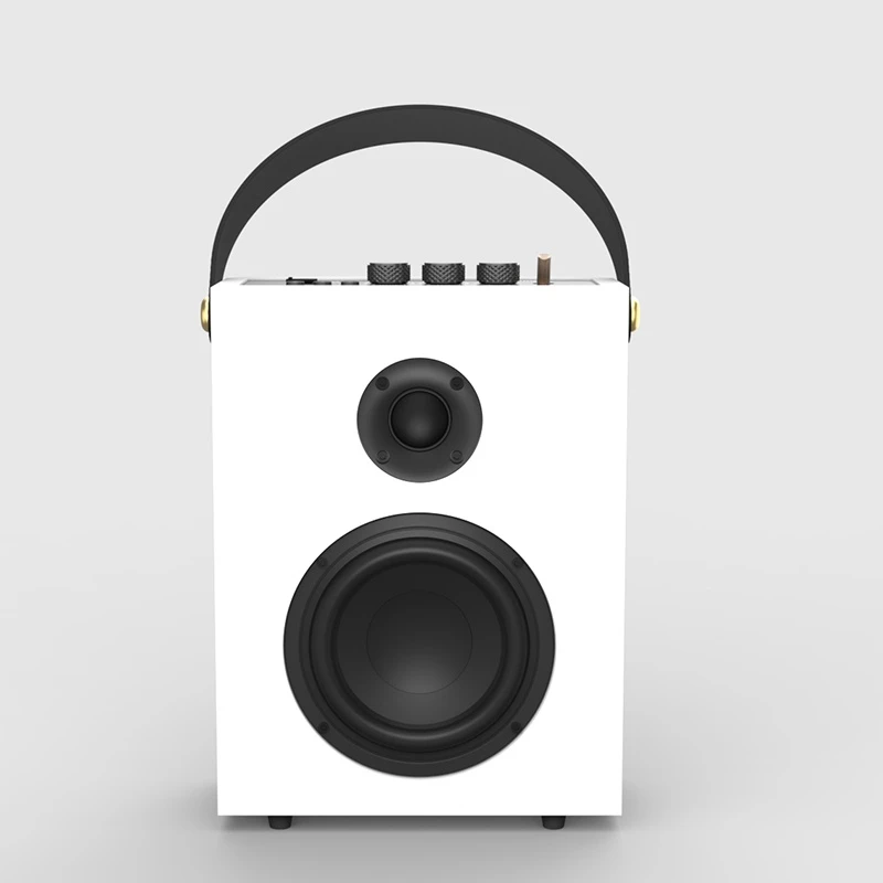 A100 50W RMS Portable Bluetooth Speaker with Paint-Finished Shell