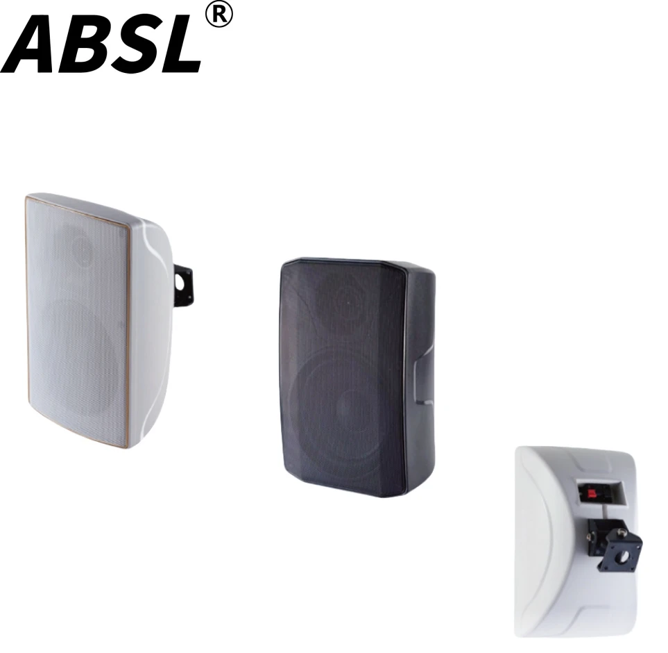 Absl OEM Loud Speaker 30W-40W 6.5 Inch PA Wall Conference Speaker