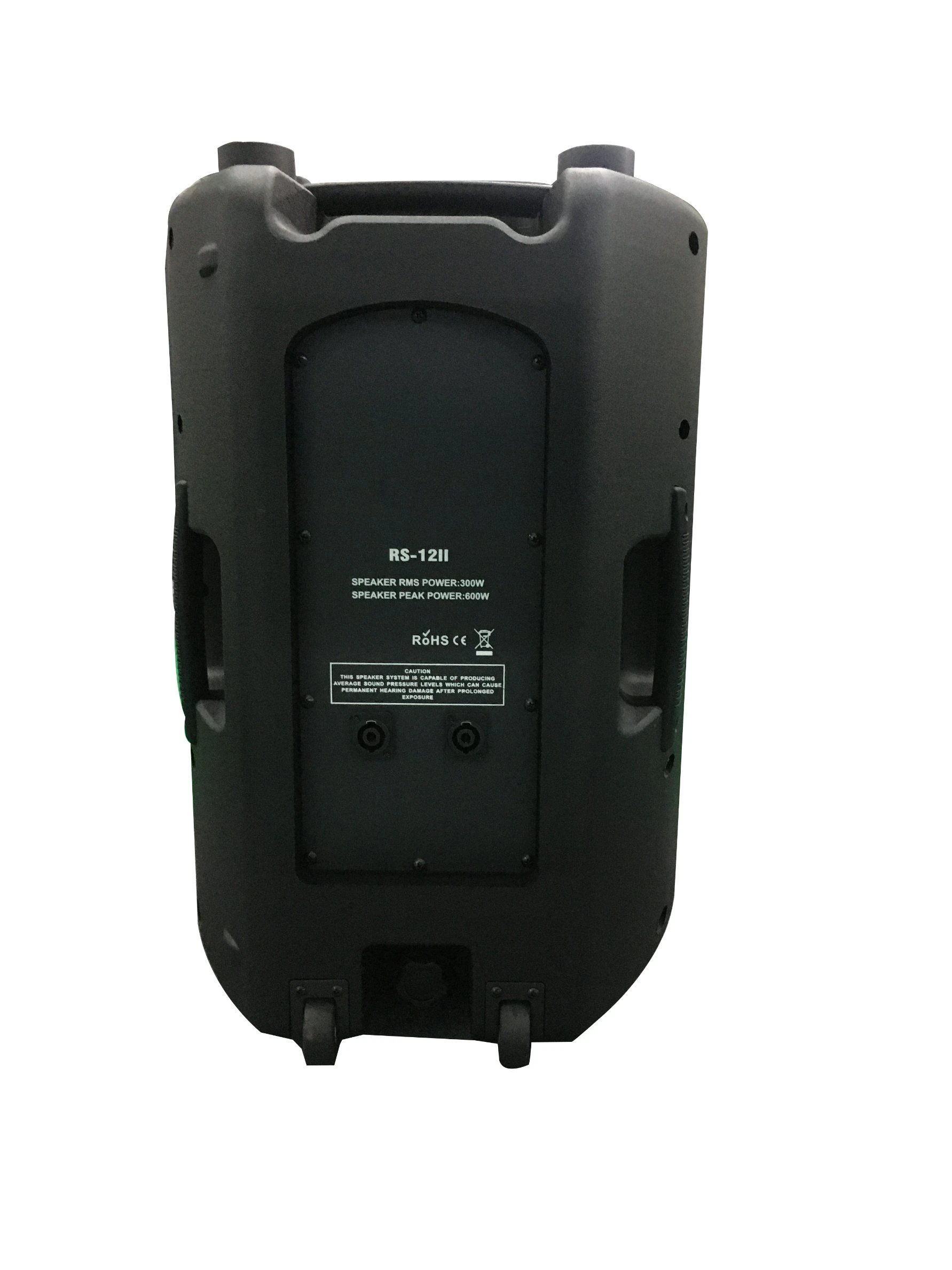 Active Line Array 12inch Professional Loudspeaker 300W Professional Audio