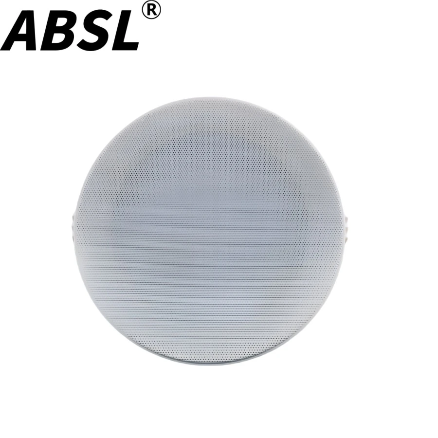 Active Music Speaker 2*10W 5” One-to-One Active Bluetooth Ceiling Speaker for Home