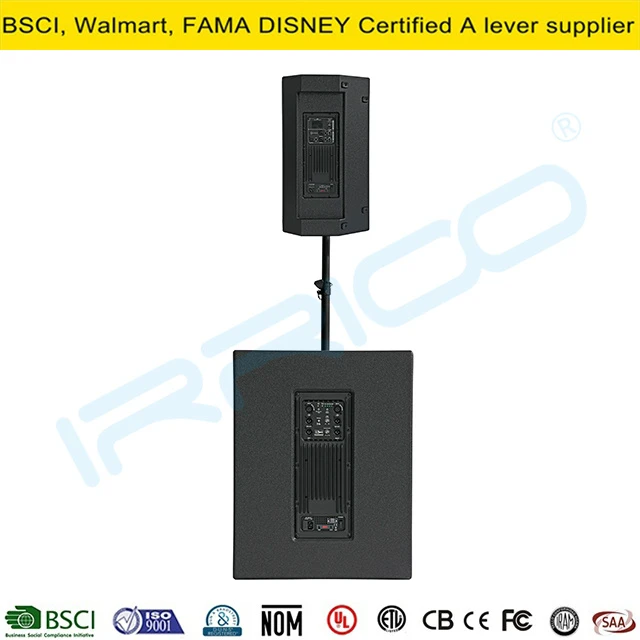 Active Subwoofer with Bt/DSP Spl XLR Inputs Outdoor Combo Speaker Systems