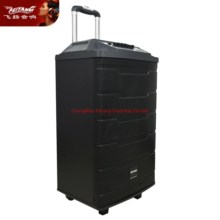 Amazing! Feiyang Portable Trolley Speaker Audio Box with Bluetooth