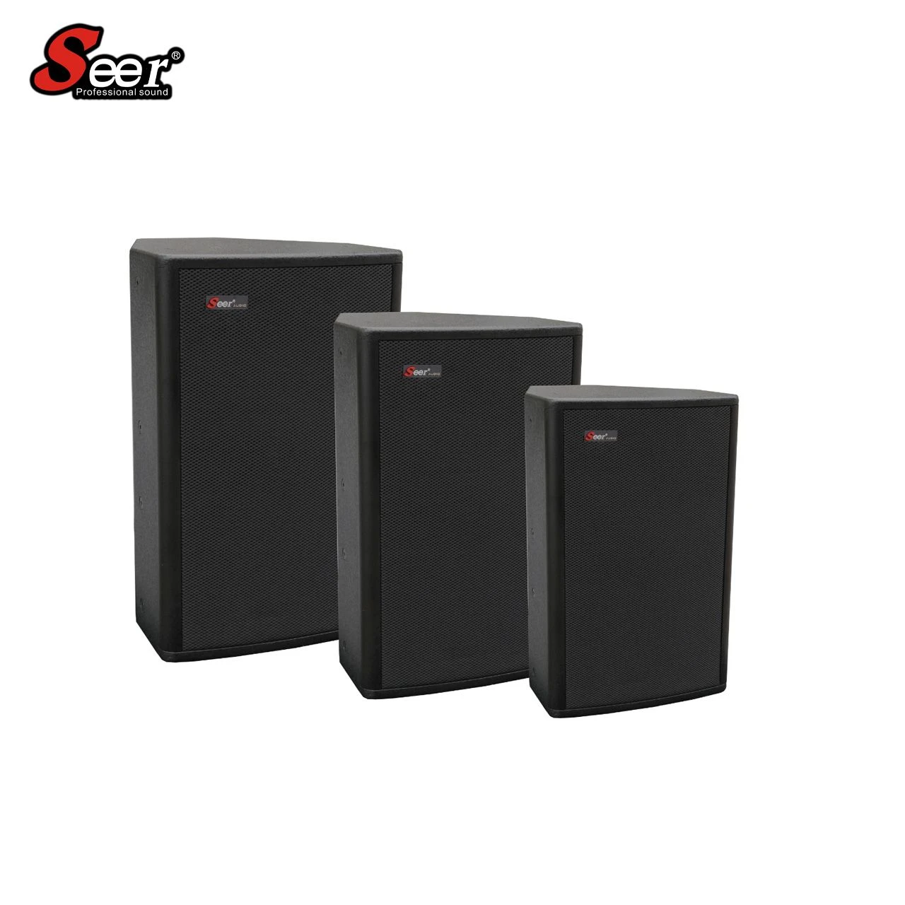 Ar Series Ar-10 Single Speaker Full-Range Speaker Professional Audio Indoor