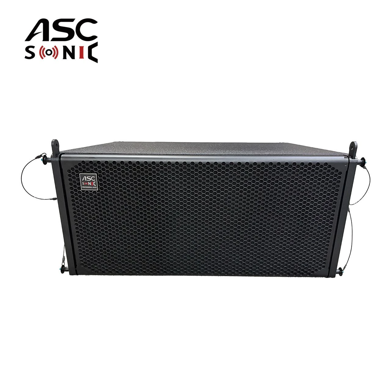 Ascsonic Double 10 Inch 3 Way Powered La-310p Audio Speaker System