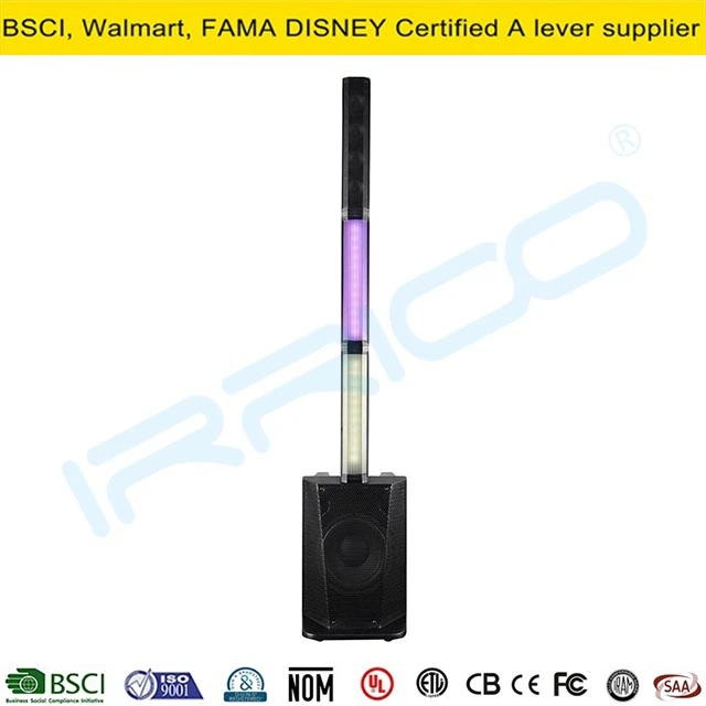 Audio 10inch 200W Speaker Multimedia Speaker in Wireless Speaker