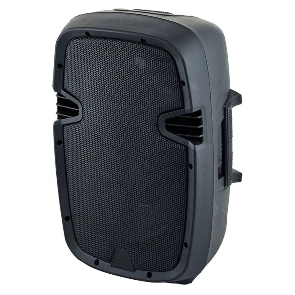 Audio Professional 300W 10 Inch Woofer Speaker 2 Way Passive Speaker with Crossover DJ/PA System Karaoke Sets Bocina Parlante