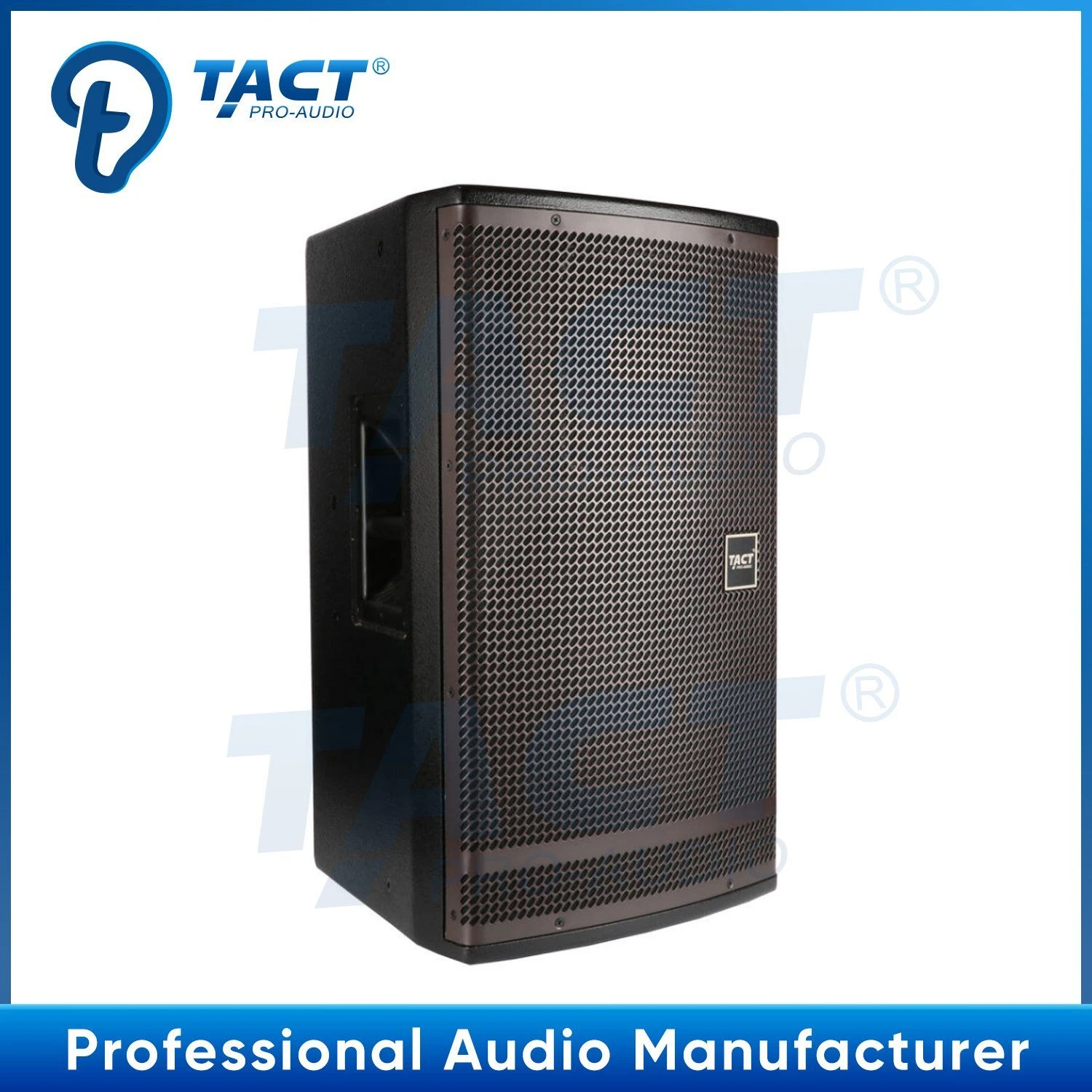 Ba10 Single 10 Inch Mono Speaker Audio with Professional Sound Box