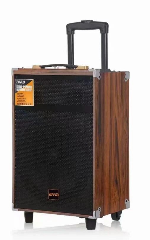 Baab Factory Stock Portable Speaker Karaoke 12 Inch Audio USB Active Speaker LED Partybox with Microphone B-Q12