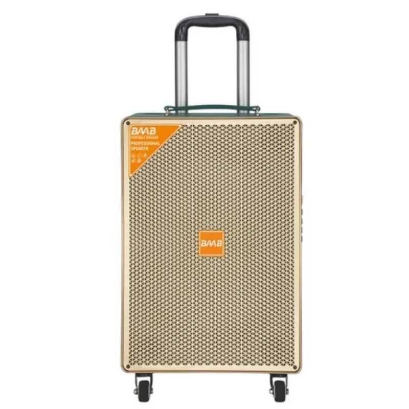 Baab Outdoor High Power 12inch Subwoofer Party Box DJ Dancing Trolley Bluetooth PRO Wooden Speaker