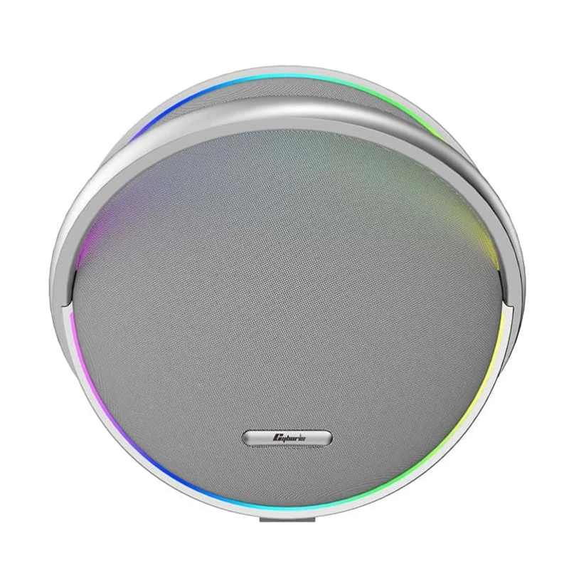 Bass Diaphragm Speaker with RoHS for Living Room