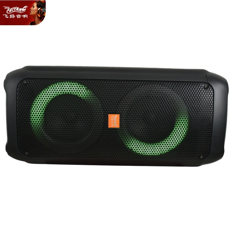Best-Selling Feiyang Bluetooth Party Active Dual 6.5 Inch Mini Speaker