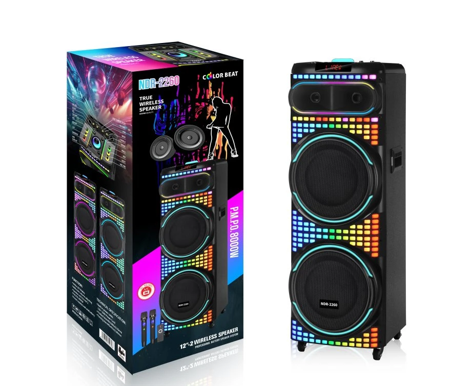 Best-Selling Private FM Radio Wireless Bluetooth Rechargeable DJ Karaoke Audio Portable Speaker
