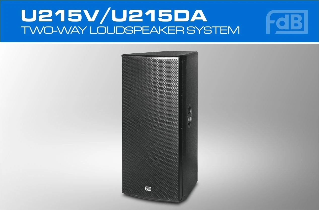 Big Powered and Passive 15 Inch Speaker for Night Club and DJ