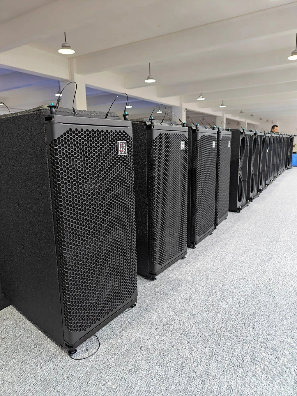 Birch Plywood Water-Resistant Active Concert Line Array Speaker Box