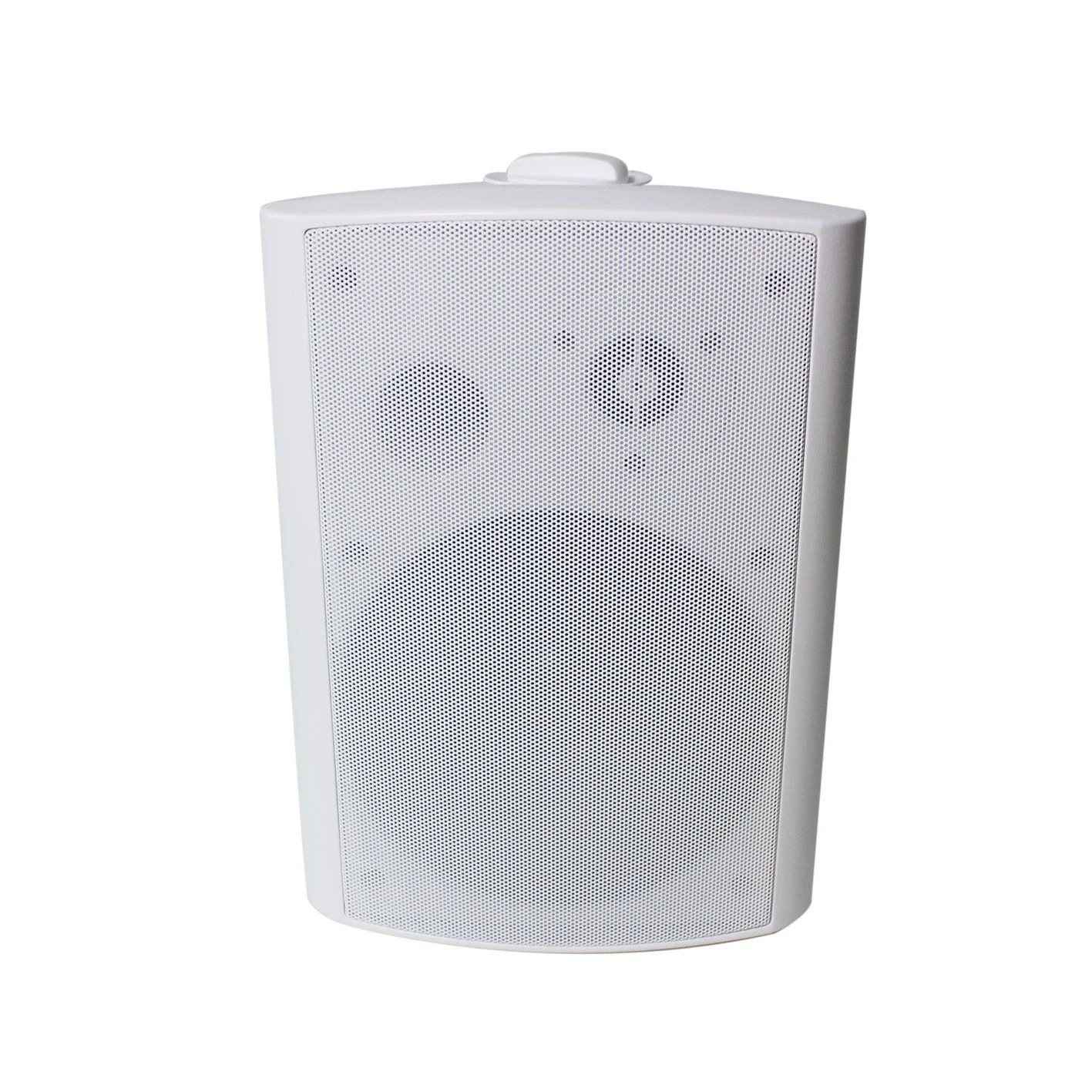 Bluetooth Active Wall Mount 2 Way Speaker 2*30W Water-Proof for Outdoor Application with 24VDC Power Adaptor Pair