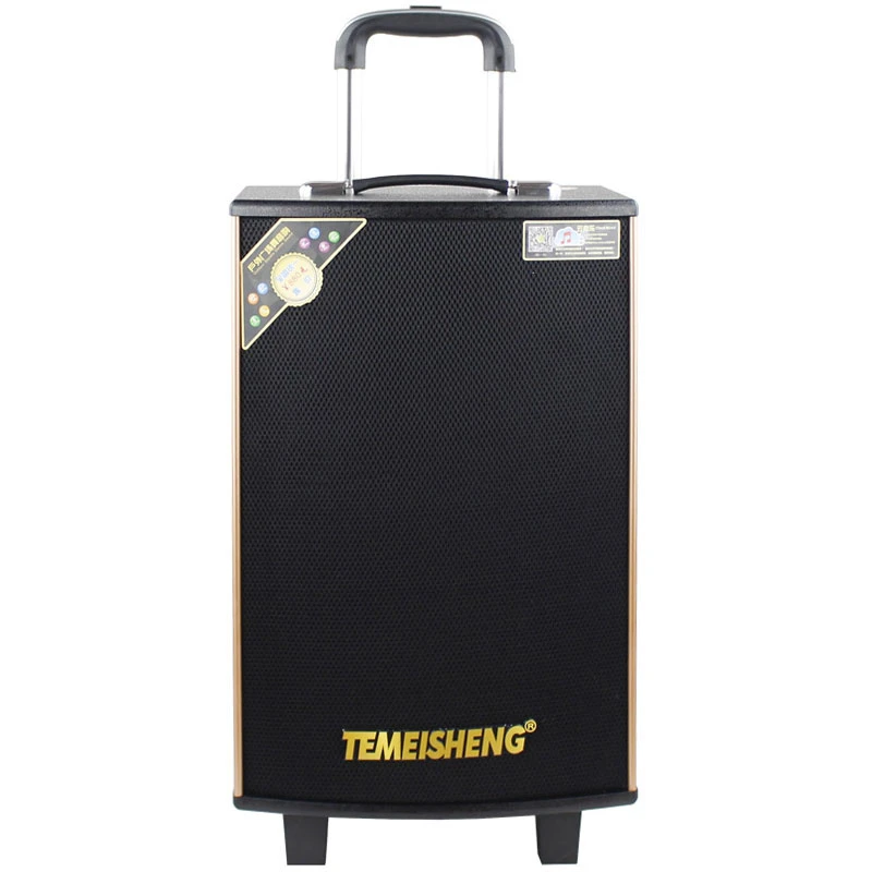 Bluetooth Portable Speaker Trolley Speaker 100W Sound Box Price