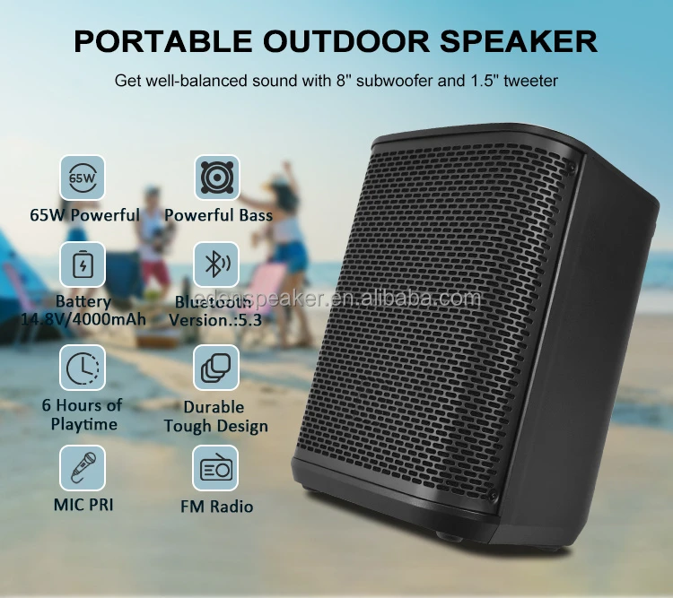 Bluetooth Speaker High Power HiFi Audio Speaker Passive Radio Music Sound Equipment USB XLR Speaker Sound Box PA Speaker with APP Control