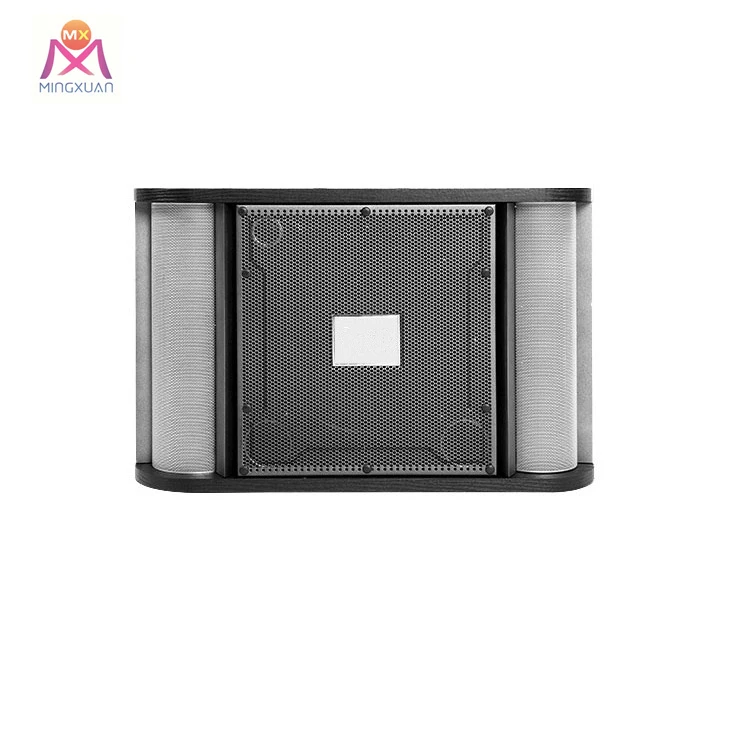 Bluetooth Speaker Karaoke 10 Inch 2way Speaker in China Professional Loudspeaker Sysytem