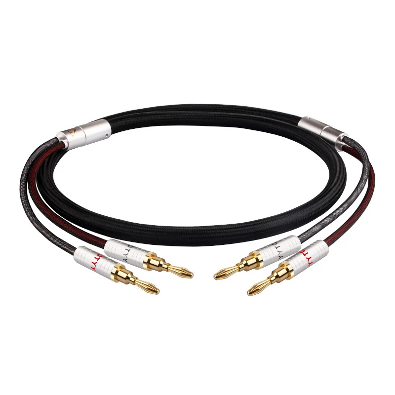 C1 Speaker Cable with Banana Plug – HIFI Silver-plated Audio Cable for Amplifiers