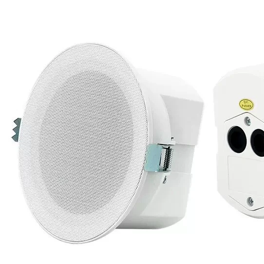 Ceiling Mounted Speaker (4-inch, constant pressure/resistance version)