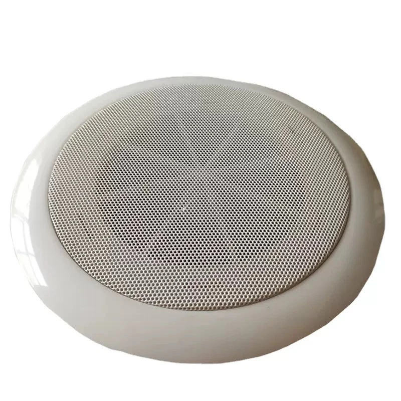 Ceiling Mounted Speaker (8-inch, 80W)