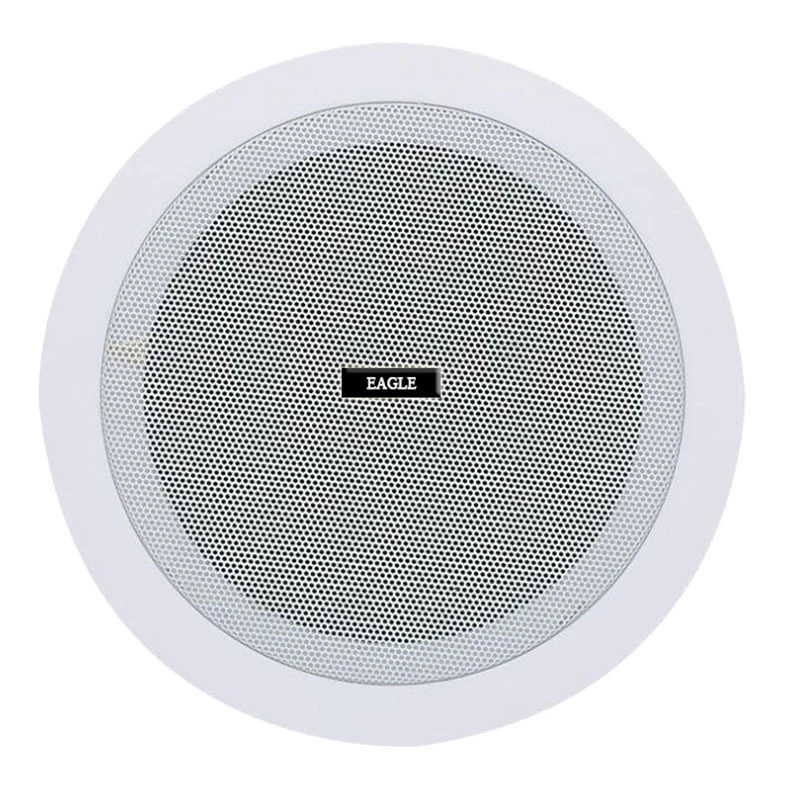 Ceiling Speakers