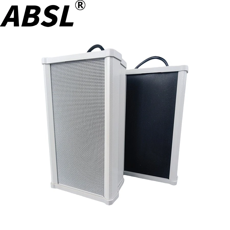 Cheap Price 60W 4” Outdoor All Weather PA Column Speaker for Russia