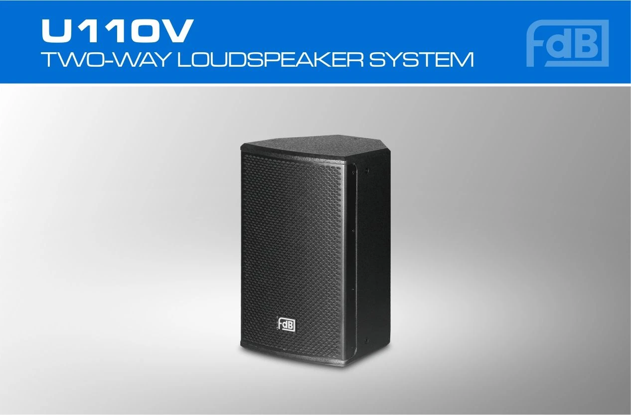 China 10″ Audio Sound System Full Range Speakers U110V