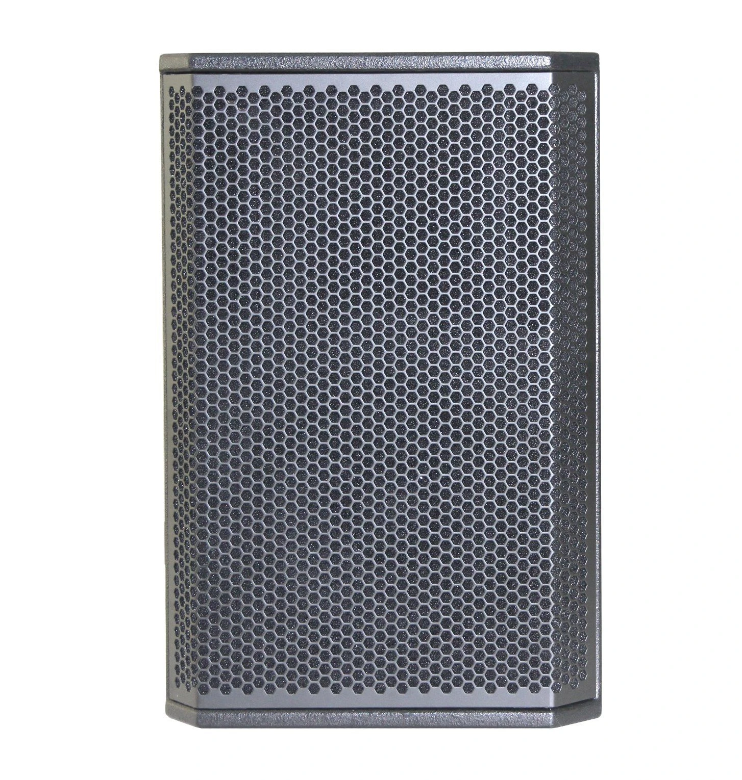 China Audio 10 Inch Line Array Sound System with DJ Mixer Party