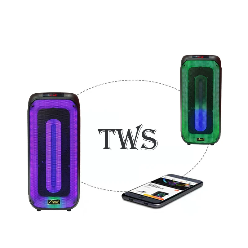 China Big Factory 8inch Rechargeable Portable PA Speaker