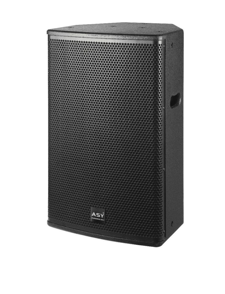 Clear Found 10 Inch Engineering Series Leading Full Frequency Speaker System