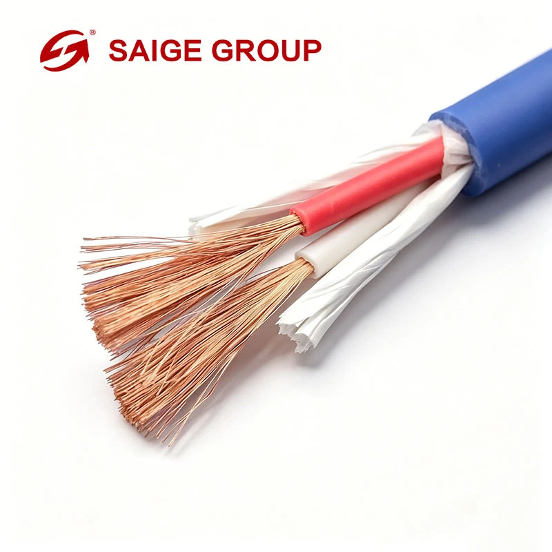Cold Resistant Oilproof Flame Retardant Evjv Wire for Conference Public Audio Project